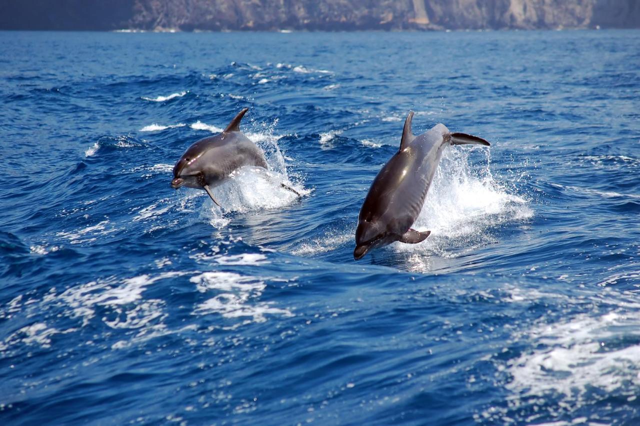 Torres Del Sol - Los Cristianos ลอส กริสเตียนอส ภายนอก รูปภาพ